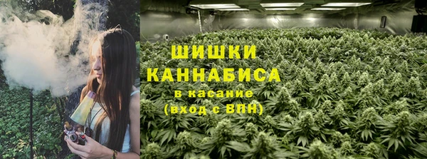 альфа пвп Гусев