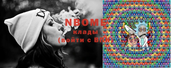 винт Гусь-Хрустальный