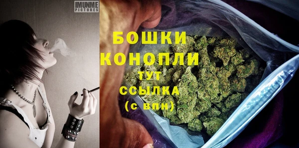 альфа пвп Гусев