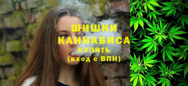 гашик Гусиноозёрск