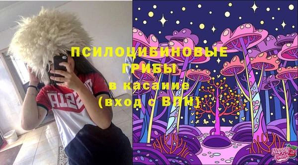 альфа пвп Гусев