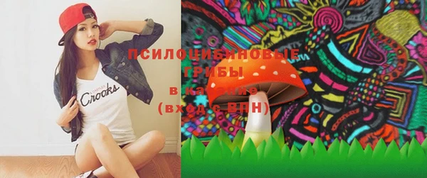 винт Гусь-Хрустальный