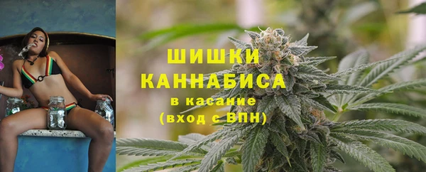 винт Гусь-Хрустальный