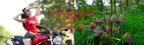 винт Гусь-Хрустальный