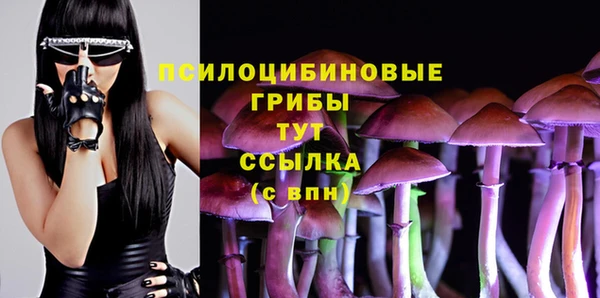 винт Гусь-Хрустальный