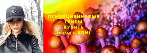 гашик Гусиноозёрск
