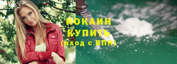 альфа пвп Гусев