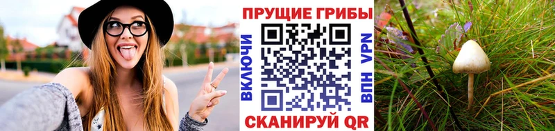 Купить закладки  Усть-Катав  Галлюциногенные грибы GOLDEN TEACHER 