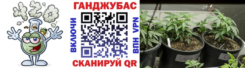 Купить  Усть-Катав  Бошки Шишки Amnesia 